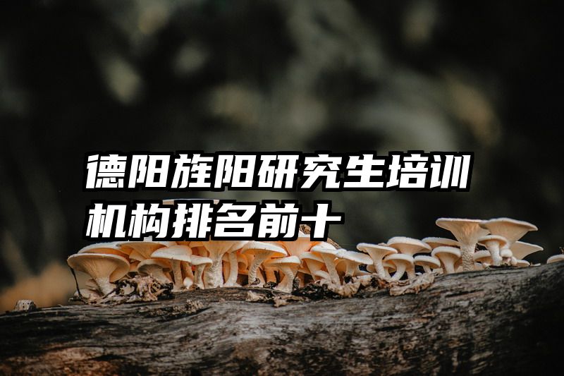 德阳旌阳研究生培训机构排名前十