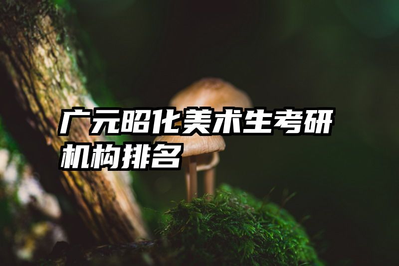 广元昭化美术生考研机构排名