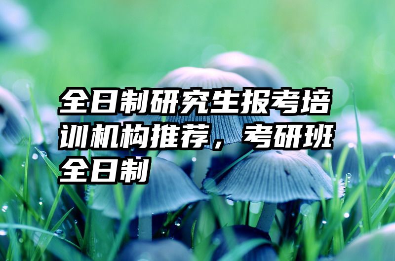 全日制研究生报考培训机构推荐，考研班全日制