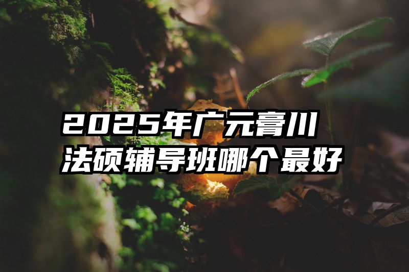 2025年广元膏川法硕辅导班哪个最好