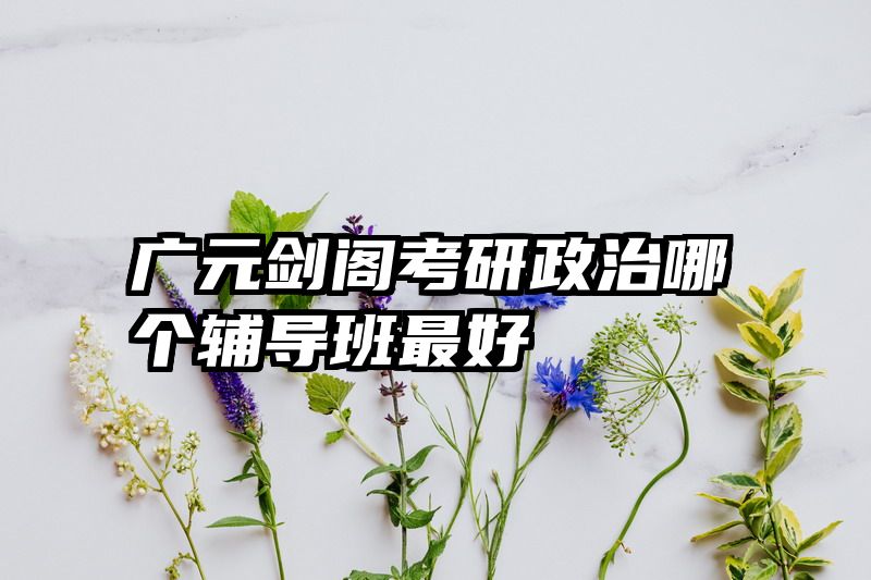 广元剑阁考研政治哪个辅导班最好