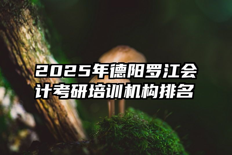 2025年德阳罗江会计考研培训机构排名