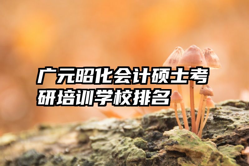 广元昭化会计硕士考研培训学校排名