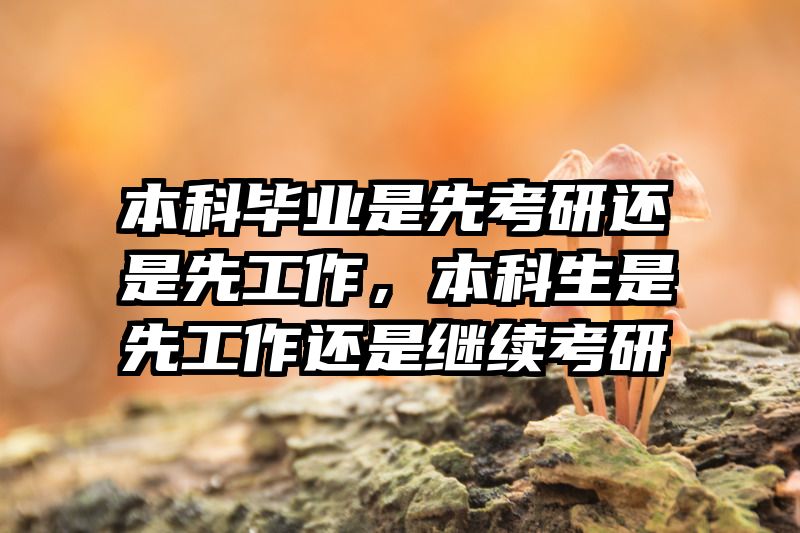 本科毕业是先考研还是先工作，本科生是先工作还是继续考研