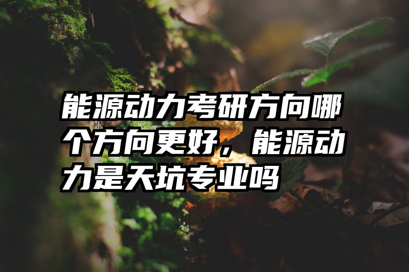 能源动力考研方向哪个方向更好，能源动力是天坑专业吗