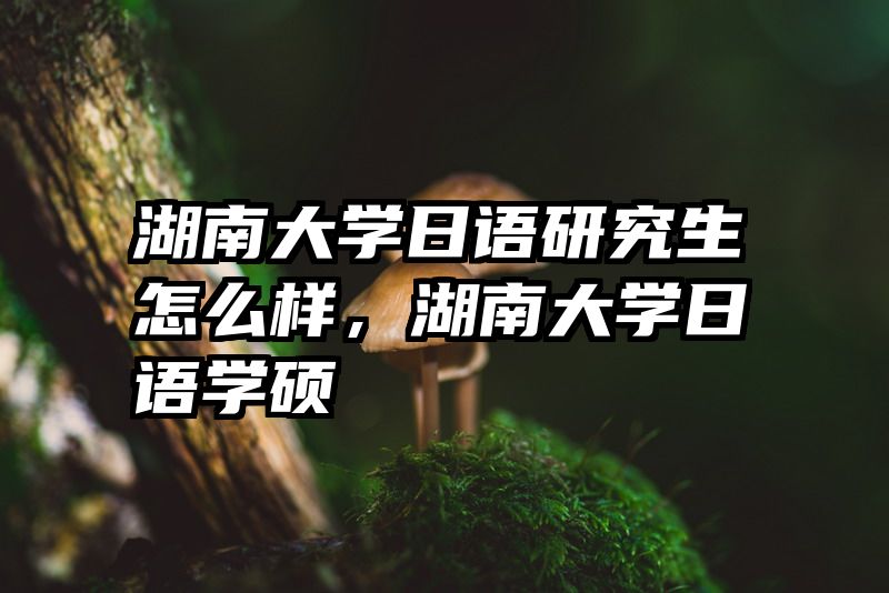 湖南大学日语研究生怎么样，湖南大学日语学硕