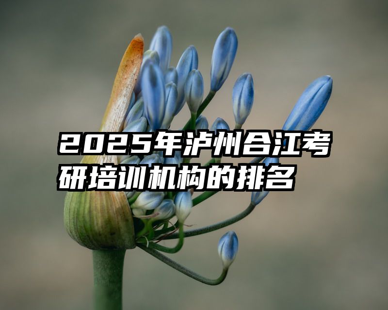2025年泸州合江考研培训机构的排名