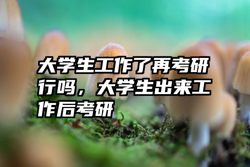 大学生工作了再考研行吗,大学生出来工作后考研
