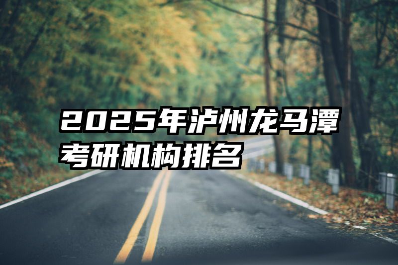 2025年泸州龙马潭考研机构排名