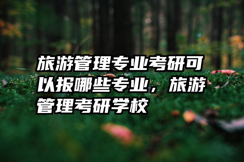 旅游管理专业考研可以报哪些专业，旅游管理考研学校