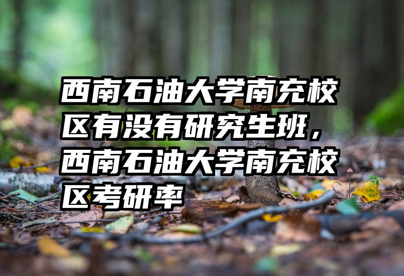 西南石油大学南充校区有没有研究生班，西南石油大学南充校区考研率