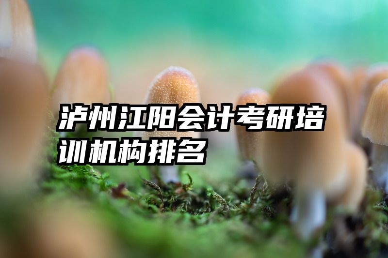泸州江阳会计考研培训机构排名