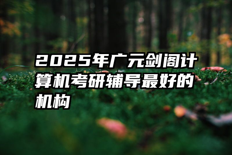 2025年广元剑阁计算机考研辅导最好的机构