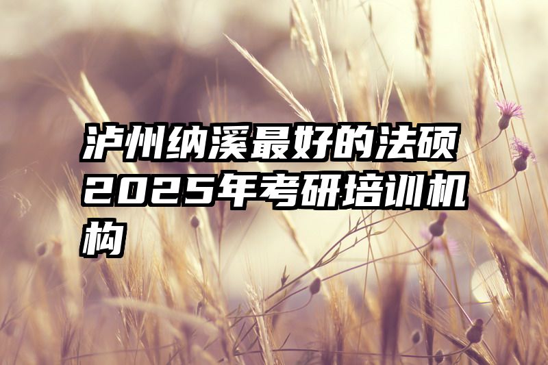 泸州纳溪最好的法硕2025年考研培训机构