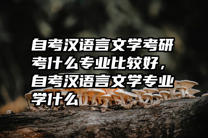 自考汉语言文学考研考什么专业比较好，自考汉语言文学专业学什么