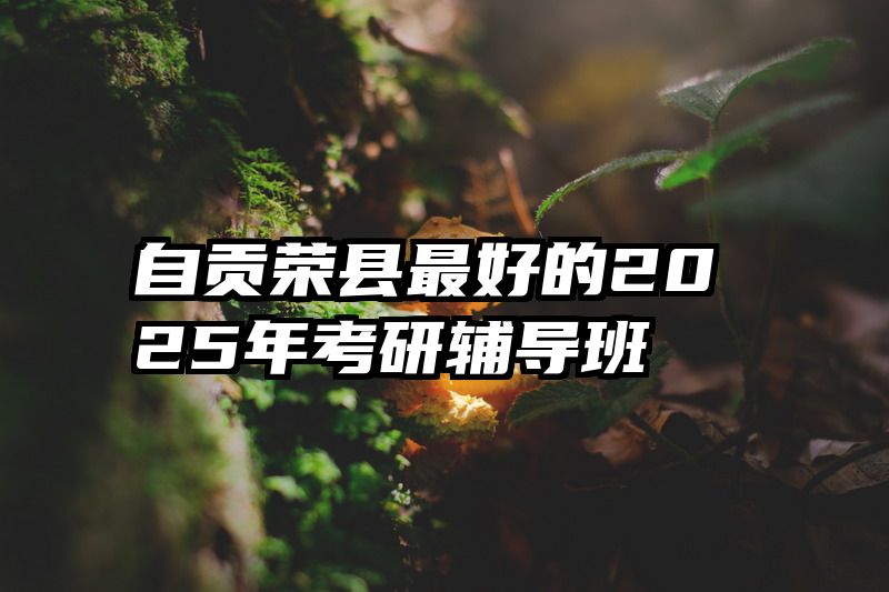 自贡荣县最好的2025年考研辅导班