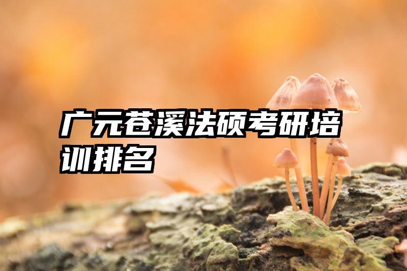 广元苍溪法硕考研培训排名