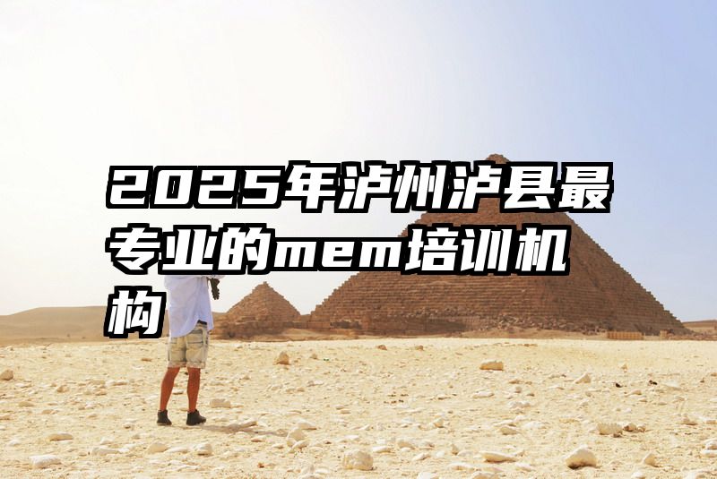 2025年泸州泸县最专业的mem培训机构