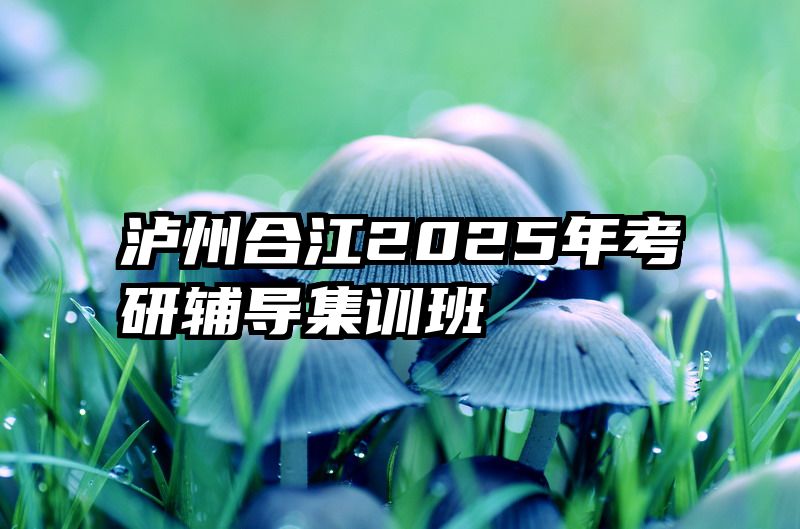 泸州合江2025年考研辅导集训班