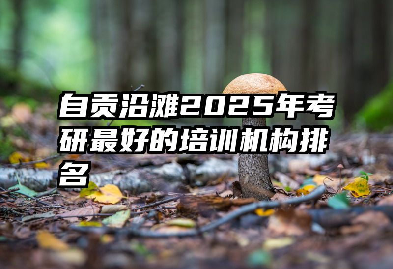 自贡沿滩2025年考研最好的培训机构排名