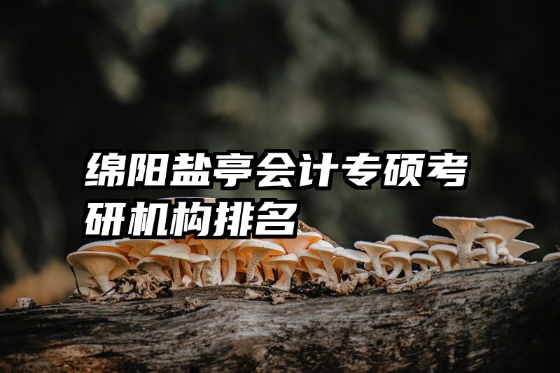 绵阳盐亭会计专硕考研机构排名