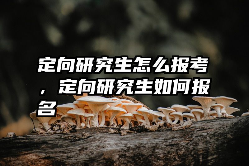 定向研究生怎么报考，定向研究生如何报名