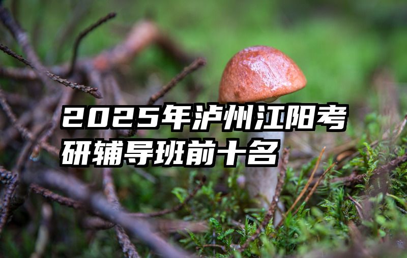 2025年泸州江阳考研辅导班前十名