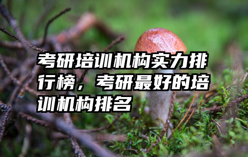 考研培训机构实力排行榜,考研最好的培训机构排名