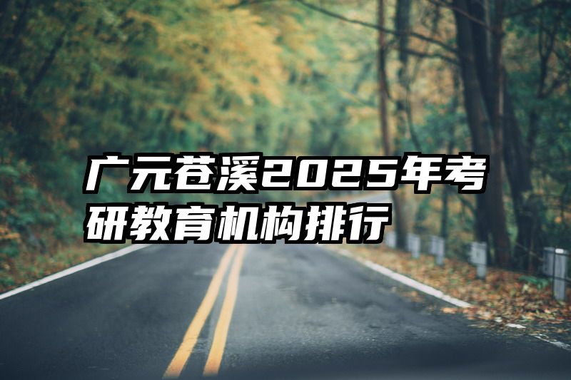广元苍溪2025年考研教育机构排行