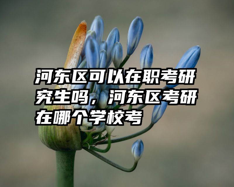 河东区可以在职考研究生吗，河东区考研在哪个学校考