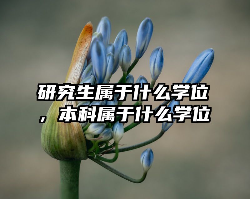 研究生属于什么学位，本科属于什么学位