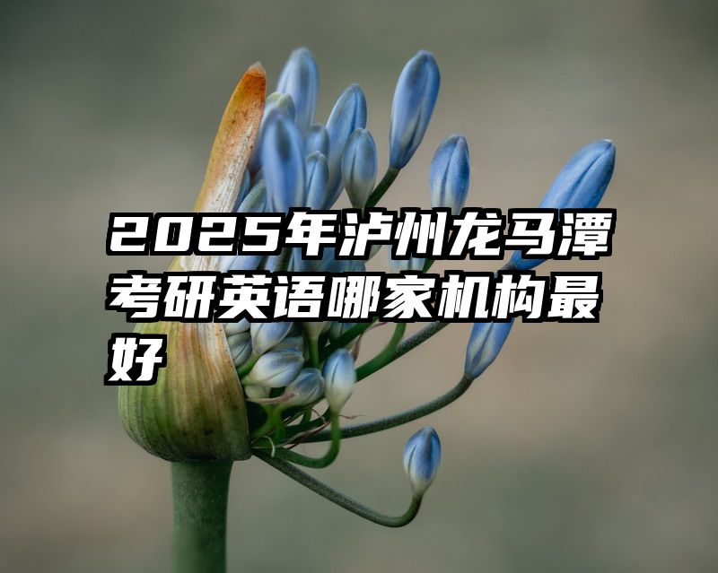 2025年泸州龙马潭考研英语哪家机构最好
