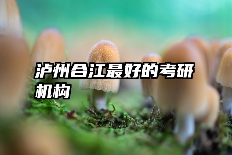 泸州合江最好的考研机构