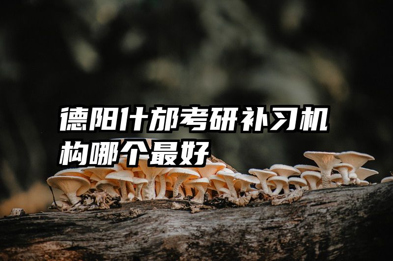 德阳什邡考研补习机构哪个最好