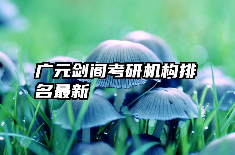 广元剑阁考研机构排名最新