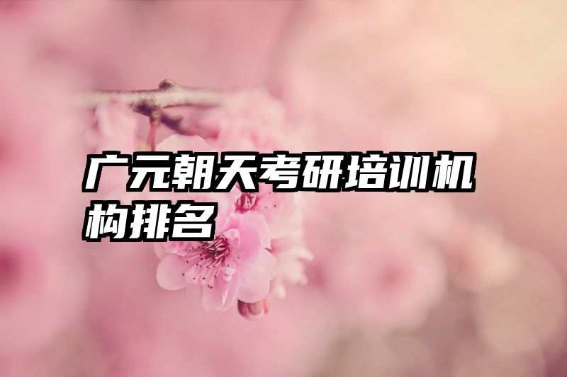 广元朝天考研培训机构排名