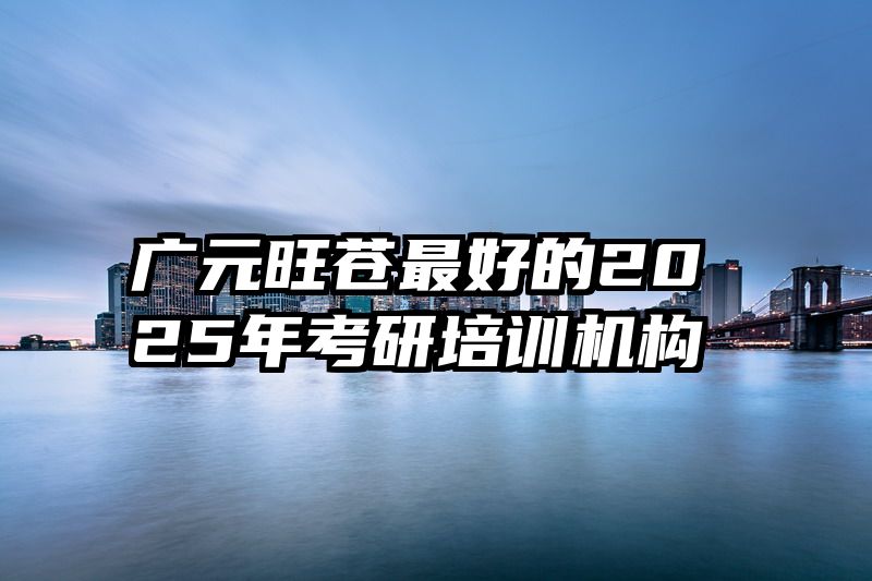 广元旺苍最好的2025年考研培训机构