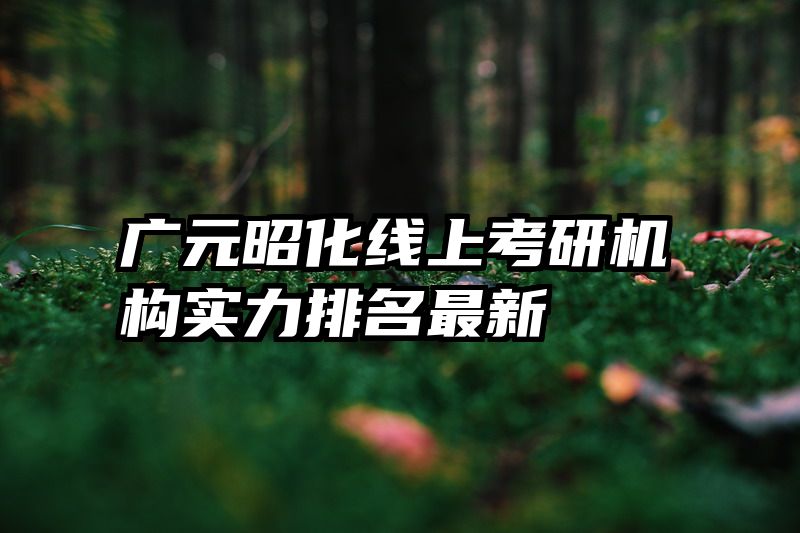 广元昭化线上考研机构实力排名最新