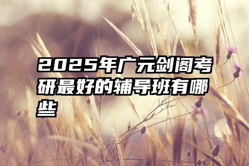 2025年广元剑阁考研最好的辅导班有哪些
