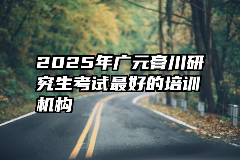 2025年广元膏川研究生考试最好的培训机构