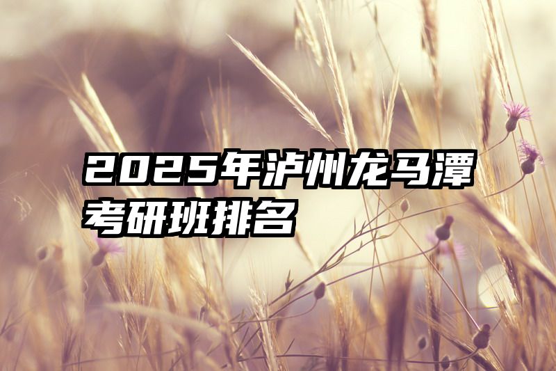 2025年泸州龙马潭考研班排名