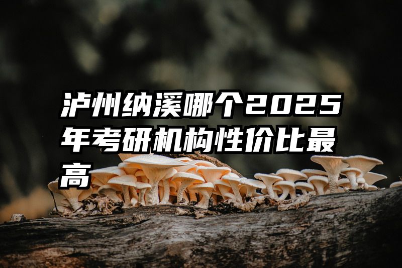 泸州纳溪哪个2025年考研机构性价比最高