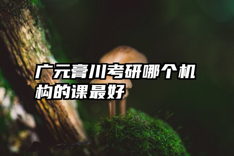 广元膏川考研哪个机构的课最好