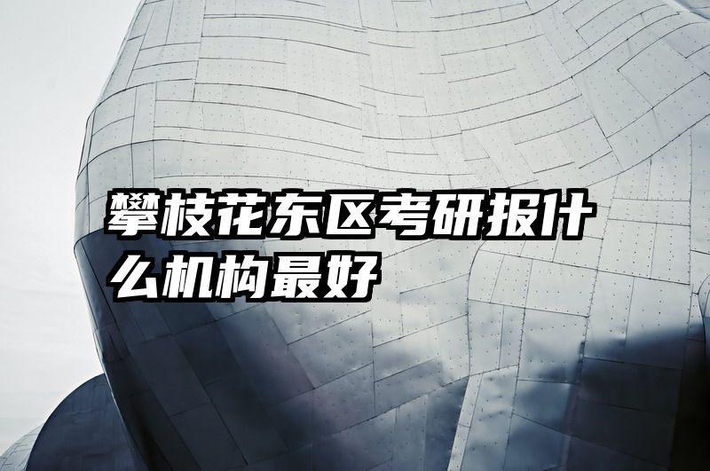 攀枝花东区考研报什么机构最好