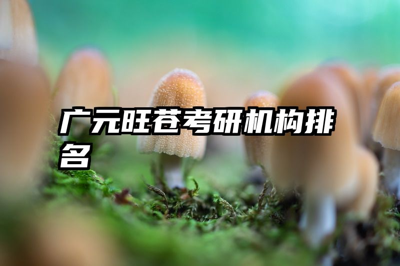 广元旺苍考研机构排名