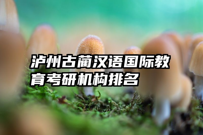 泸州古蔺汉语国际教育考研机构排名