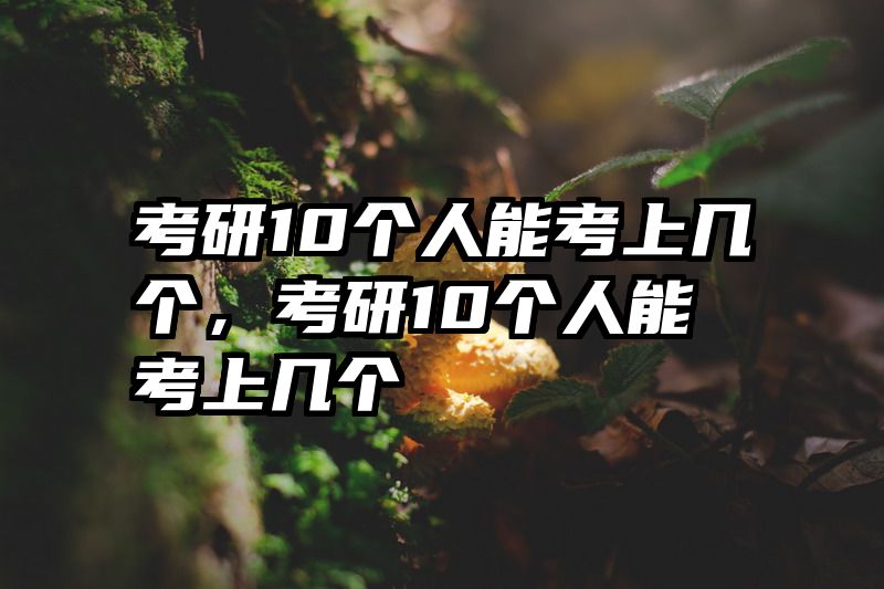 考研10个人能考上几个，考研10个人能考上几个