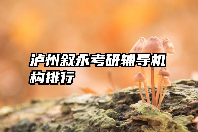 泸州叙永考研辅导机构排行