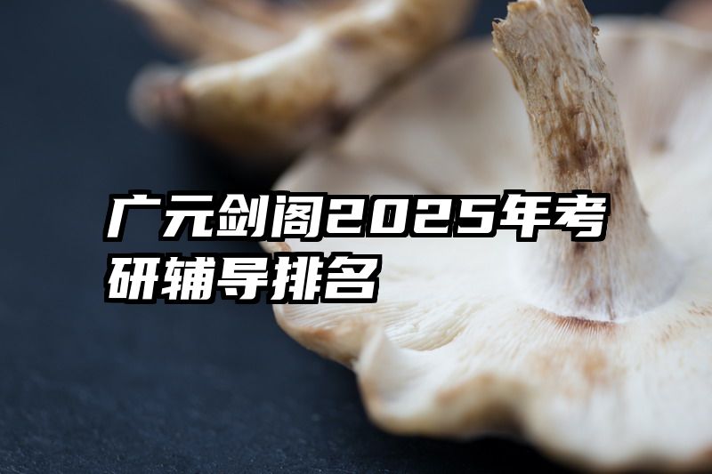 广元剑阁2025年考研辅导排名