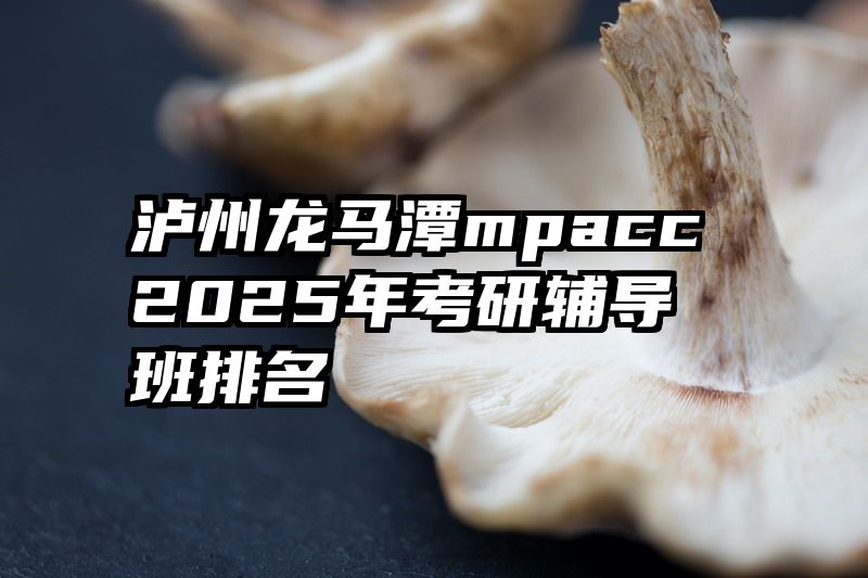 泸州龙马潭mpacc2025年考研辅导班排名